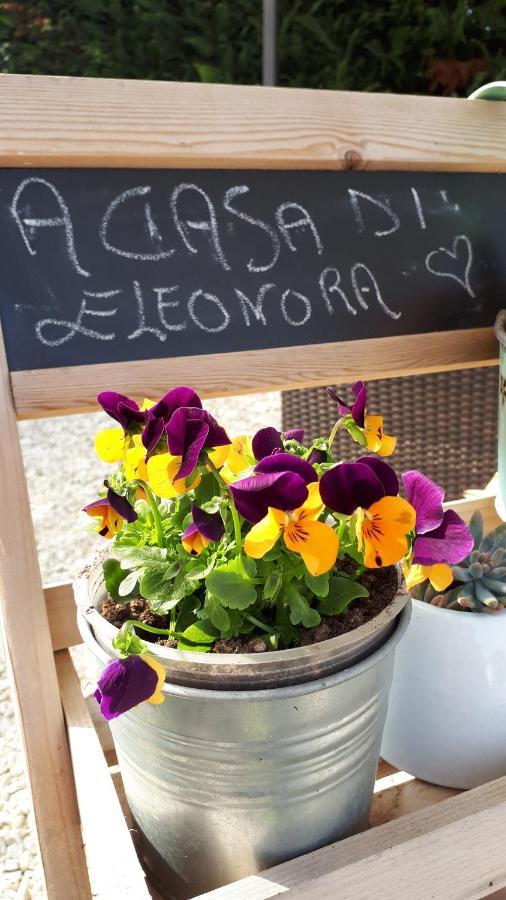 B&B A Casa Di Eleonora 维罗纳自由镇 外观 照片